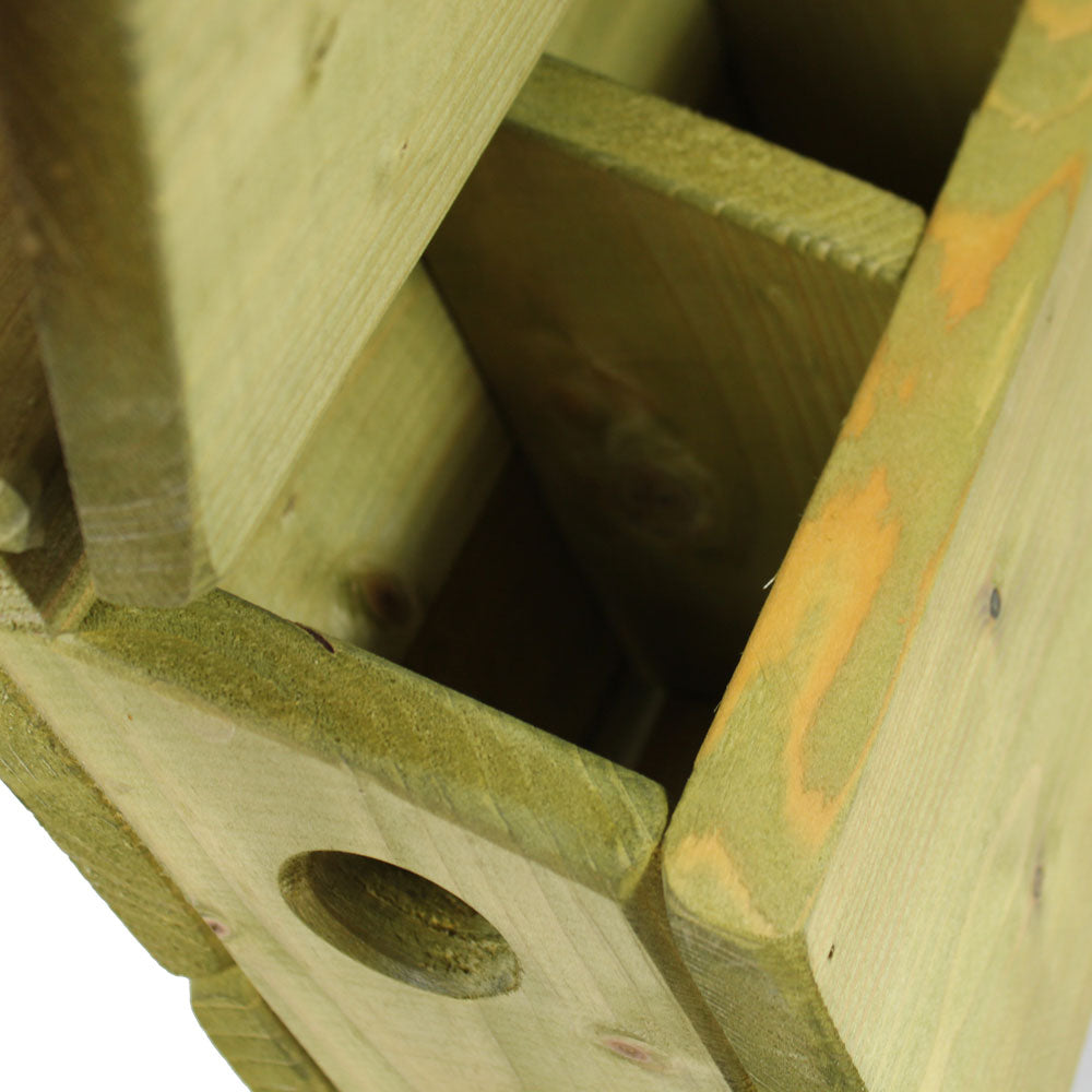 Inside the Sparrow Terrace Nest Box