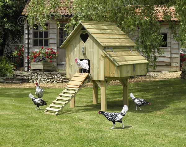 How to Assemble a Maggie's Hen House (in 3 minutes!)