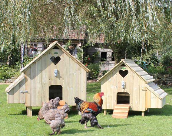 Chickens & Housing - Frequently Asked Questions