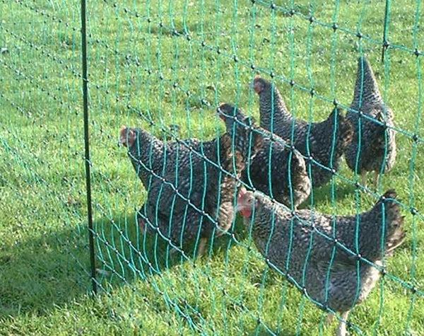 How to Install Electric Poultry Netting