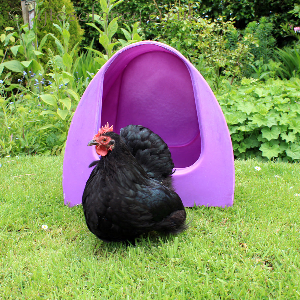 Equipment & Accessories | Poultry Supplies at Flyte so Fancy