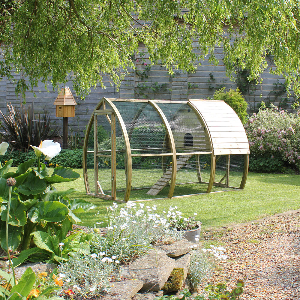 Curved Chicken Coops