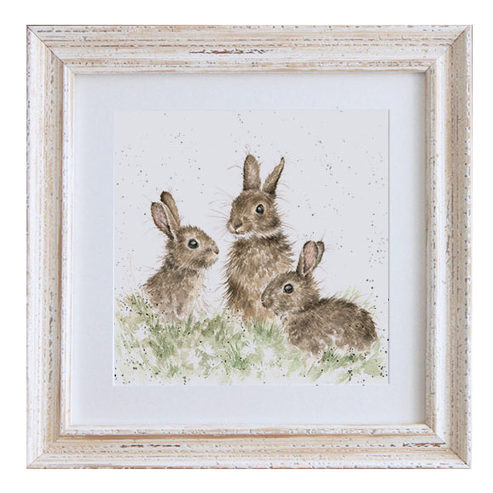 Baby Rabbits Framed Print