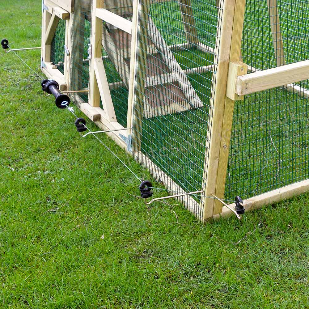 Installed Anti-Fox Electric Fence for Poultry Runs