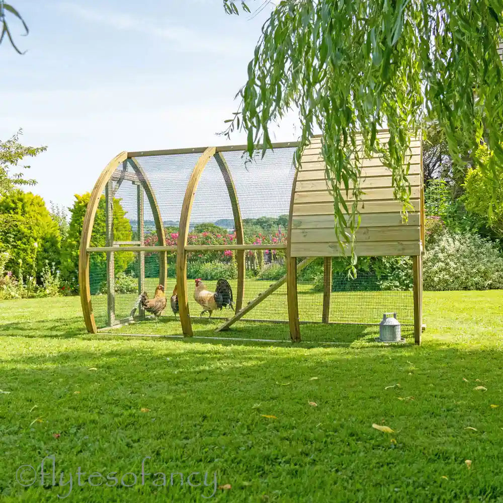 The Arch Chicken Coop under the willow tree