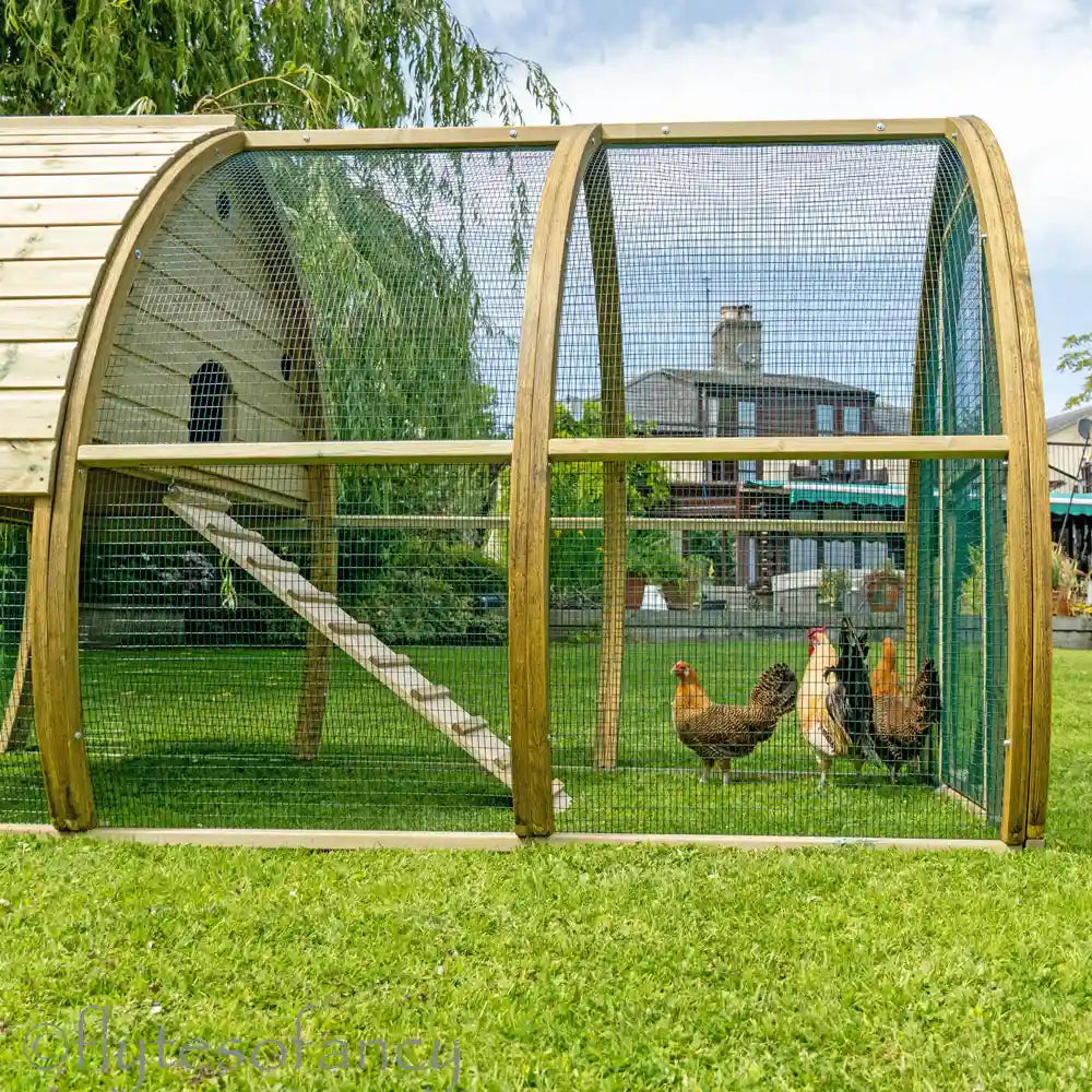 The Arch Chicken Coop