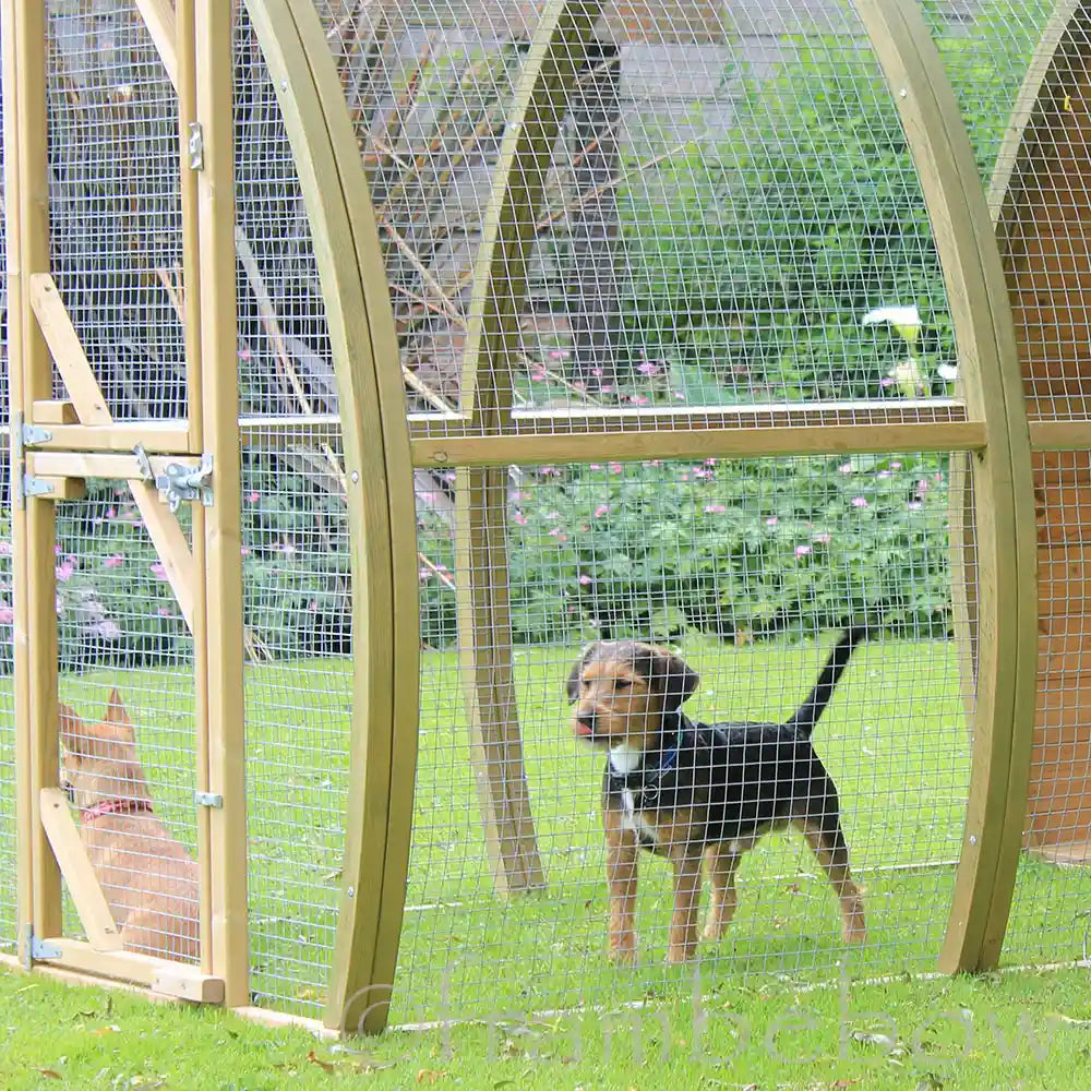 Detail of mesh of Framebow Arched Dog Kennel with terrier