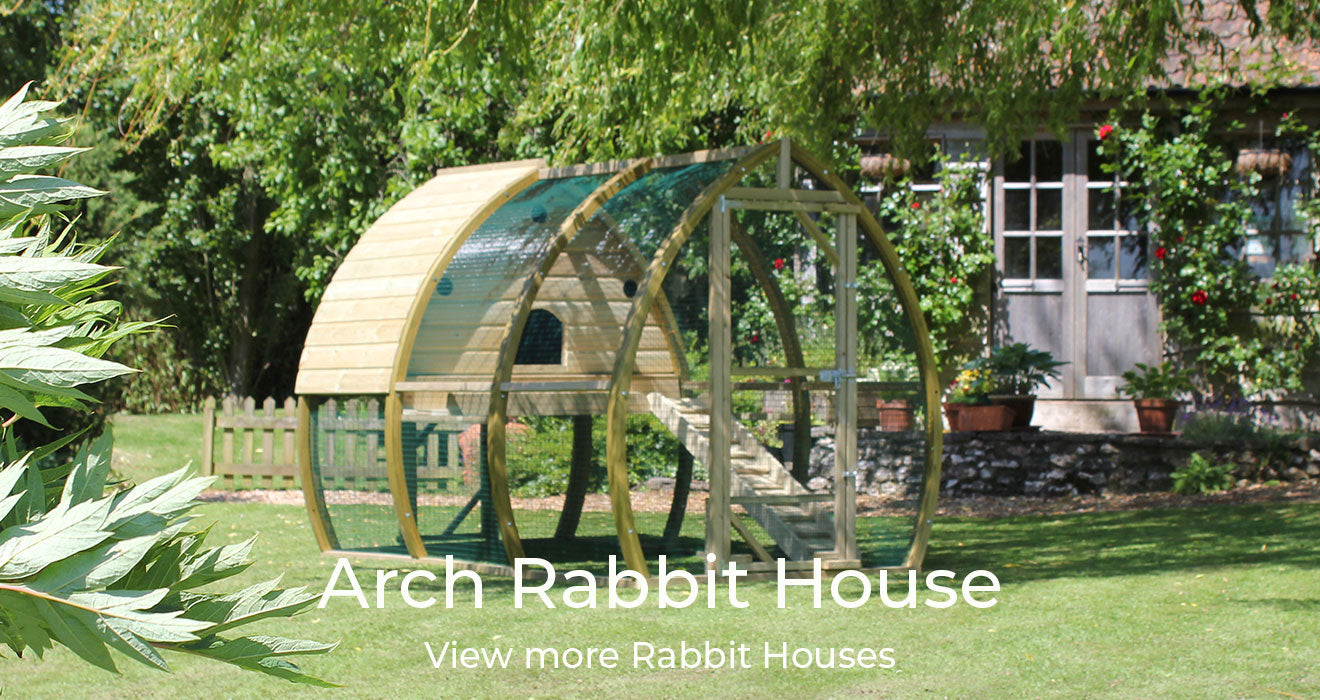 Arch Rabbit House Flyte so Fancy