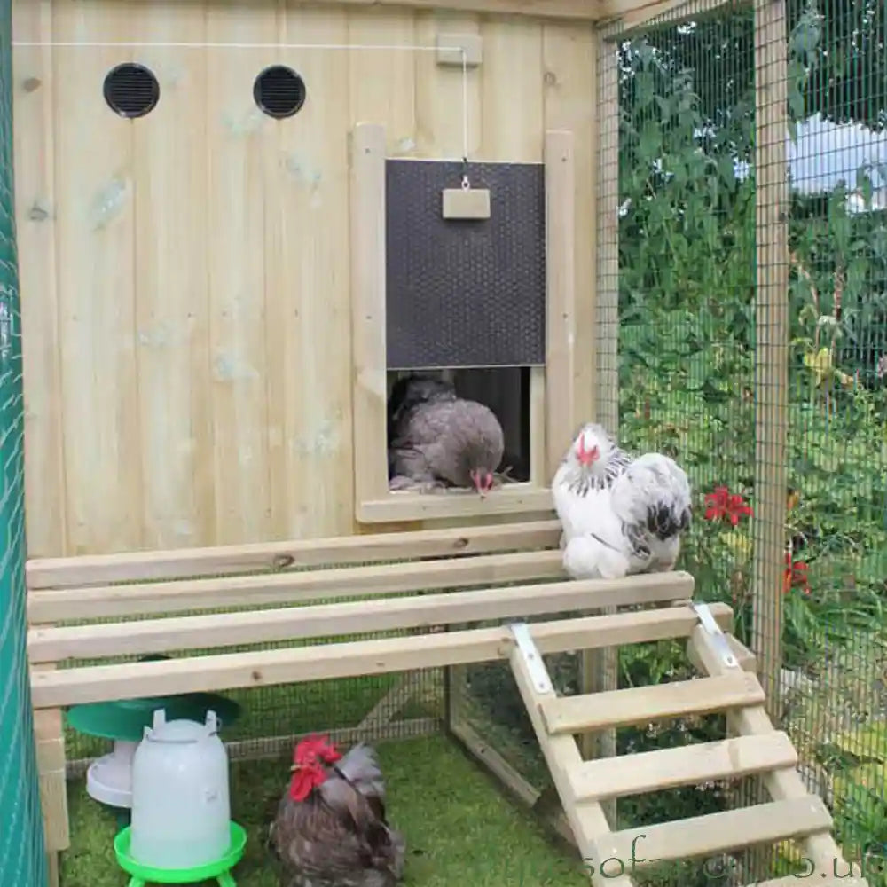Pop-hole view (with Pekin Bantams) of Flyte Aviary 6 Chicken Coop