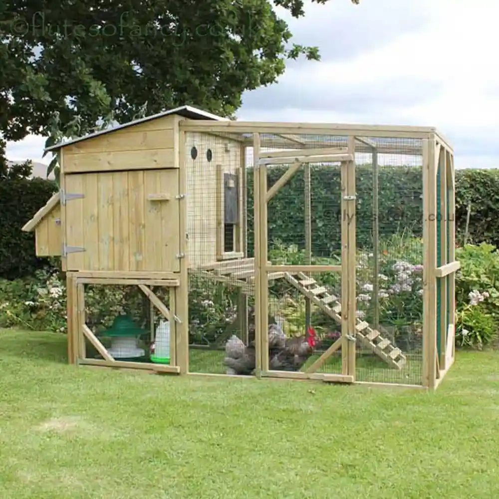 Flyte Aviary 6 Chicken Coop (with Pekin Bantams)