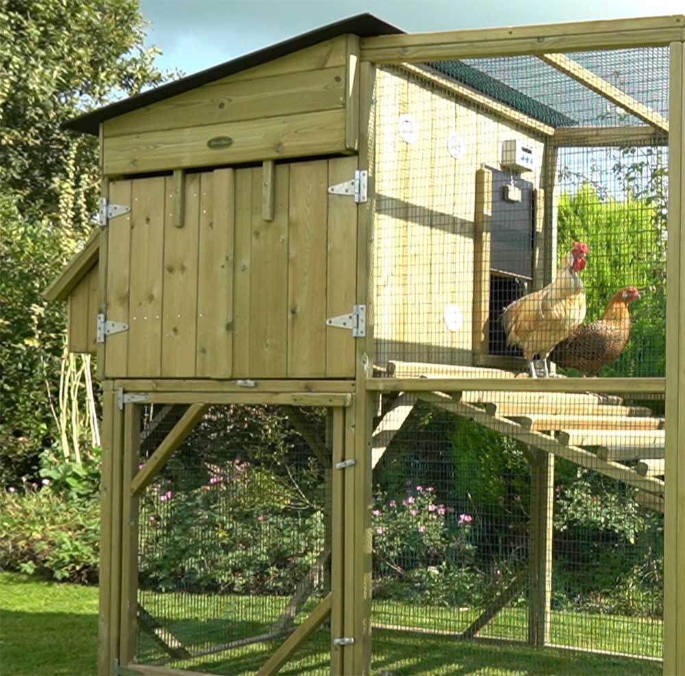The Flyte Aviary Grand Chicken Coop