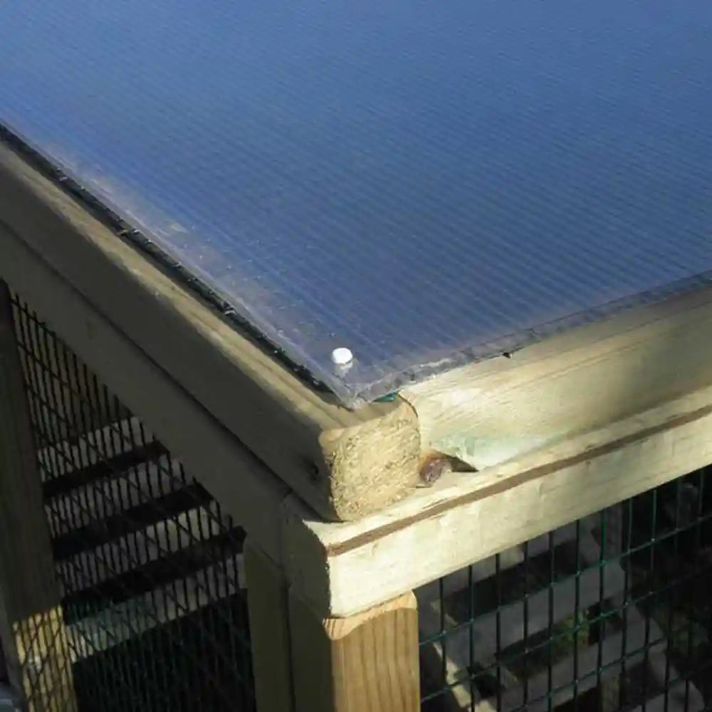 Polycarbonate Run Roof option