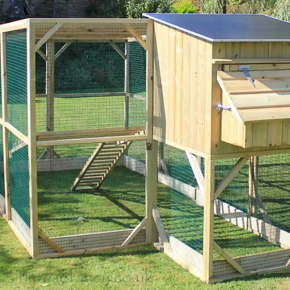 Rear view of Flyte Aviary 8 Grand Chicken Coop