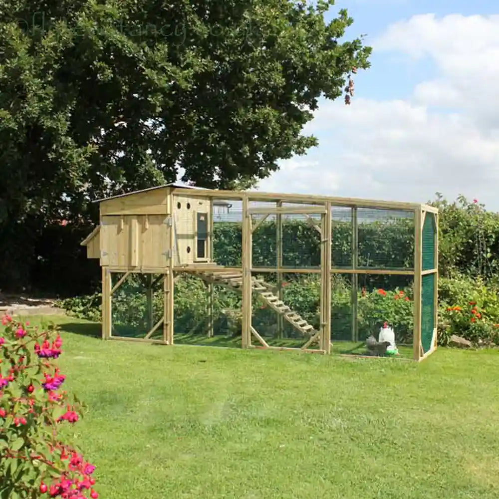 The Flyte Aviary 8 Chicken Coop with bantams inside