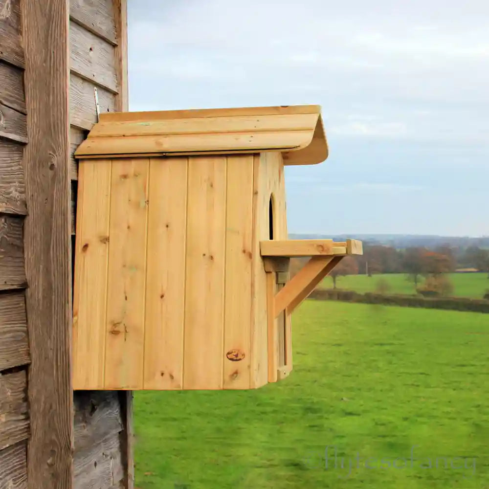 Side view Flyte Barn Owl Nesting Box