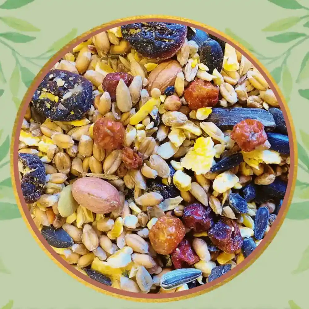 Berry Feast Wild Bird Seed Mix 2.5kg