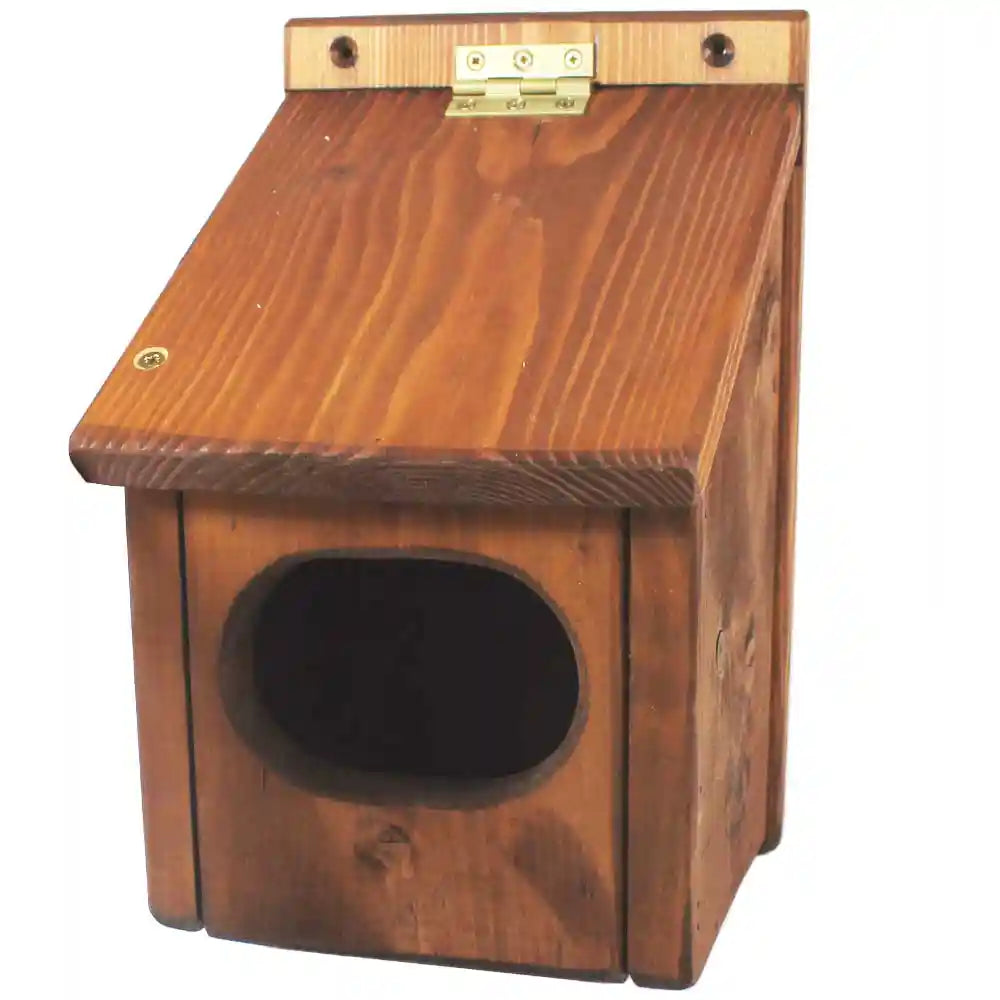 Blackbird Nesting Box in Chestnut Brown