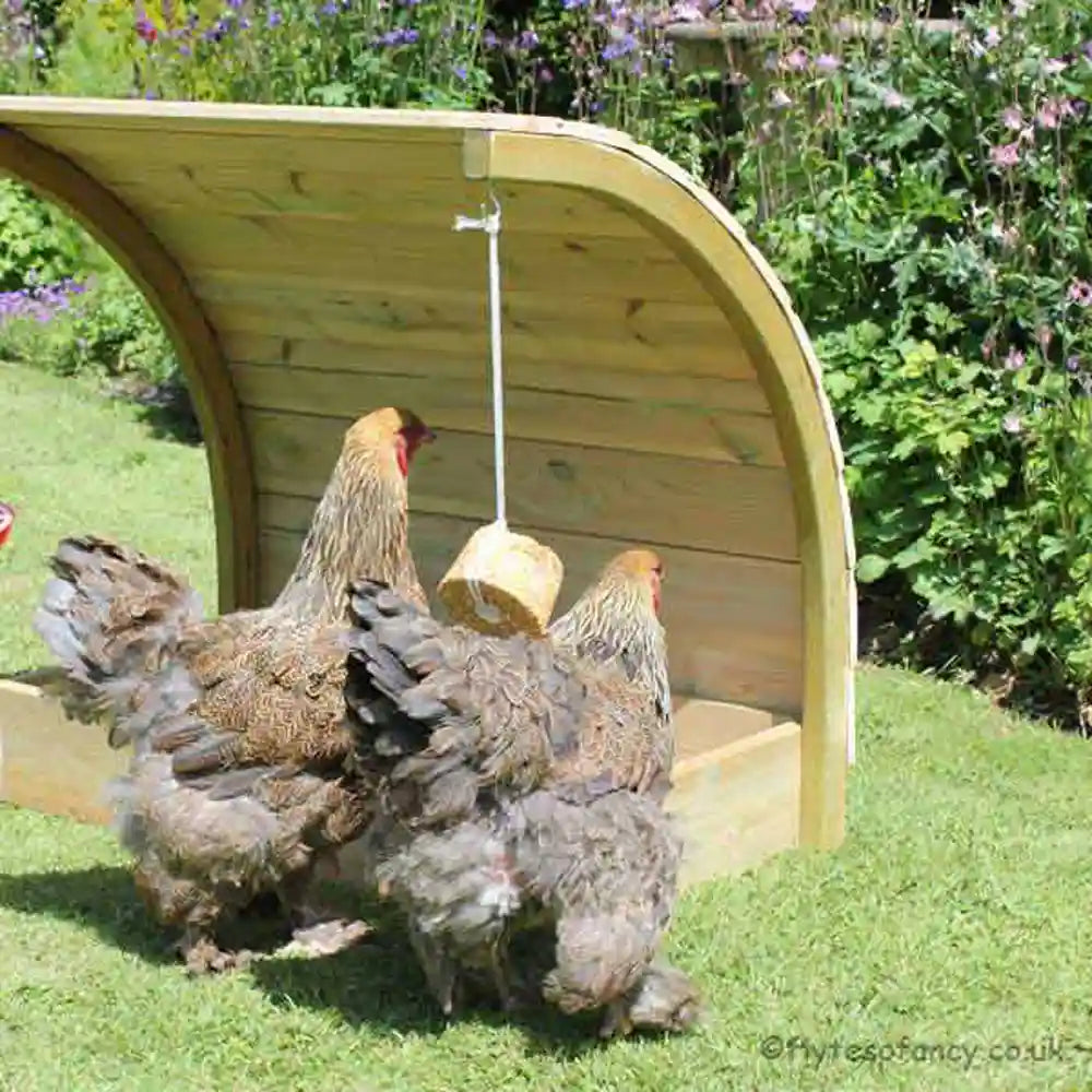 Boredom Buster Pecking Ring with Brahmas
