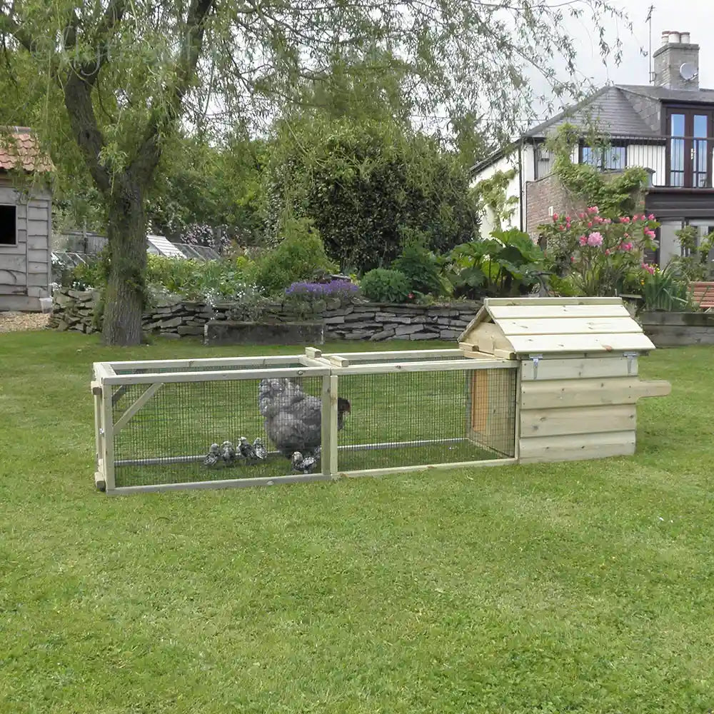 Broody Chicken Coop with Long Run, Orpington Hen & Chicks