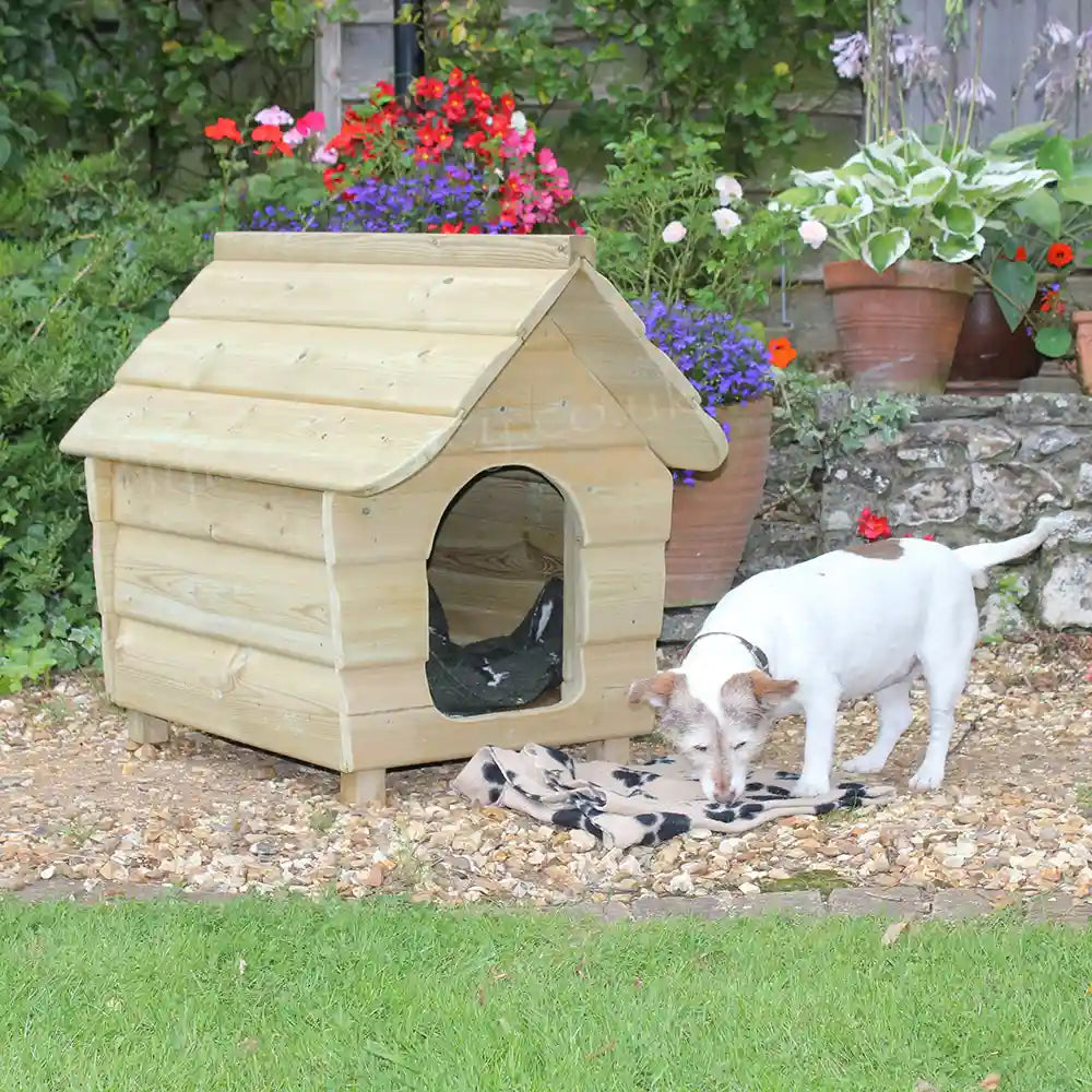 Small Buckland Dog Kennel with terrier