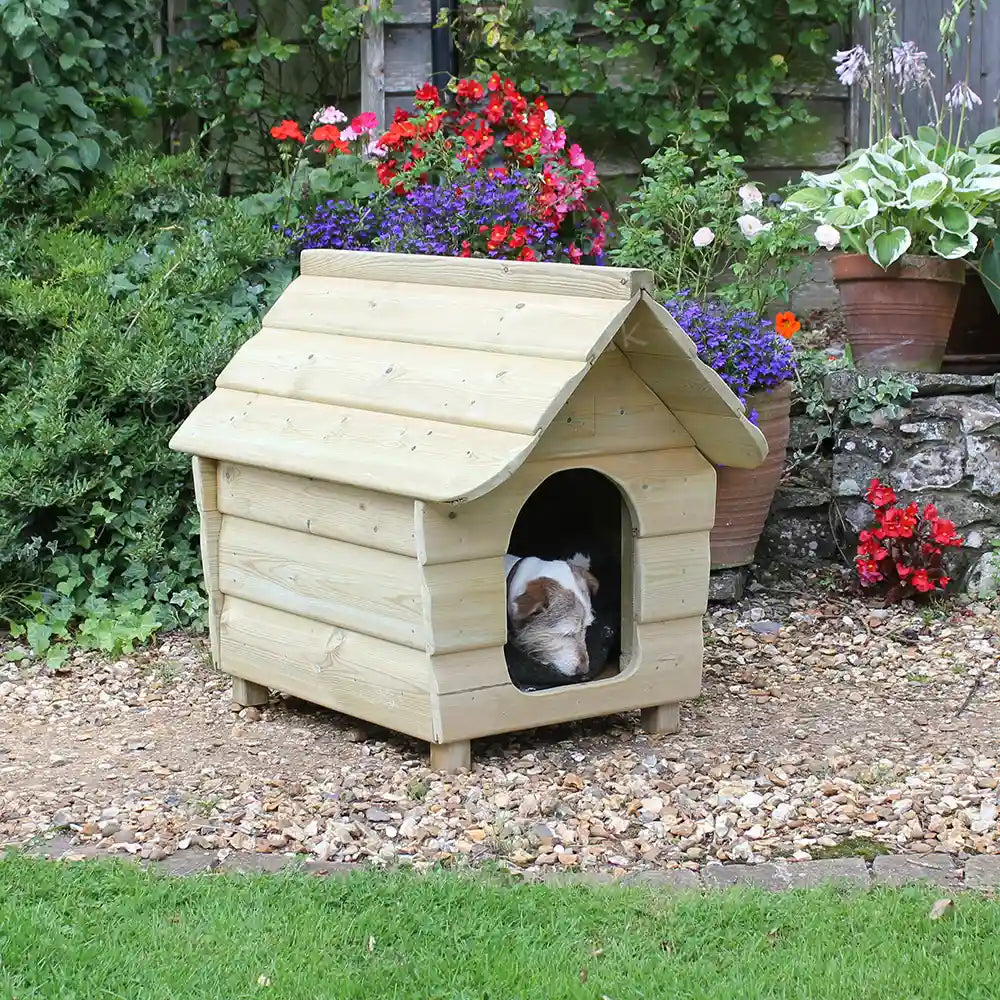 Mini shop dog kennel