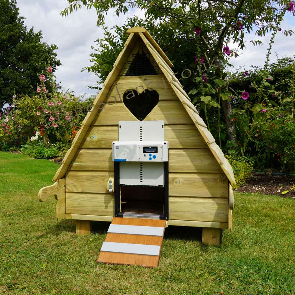 ChickenGuard All-in-One Auto Door Opener