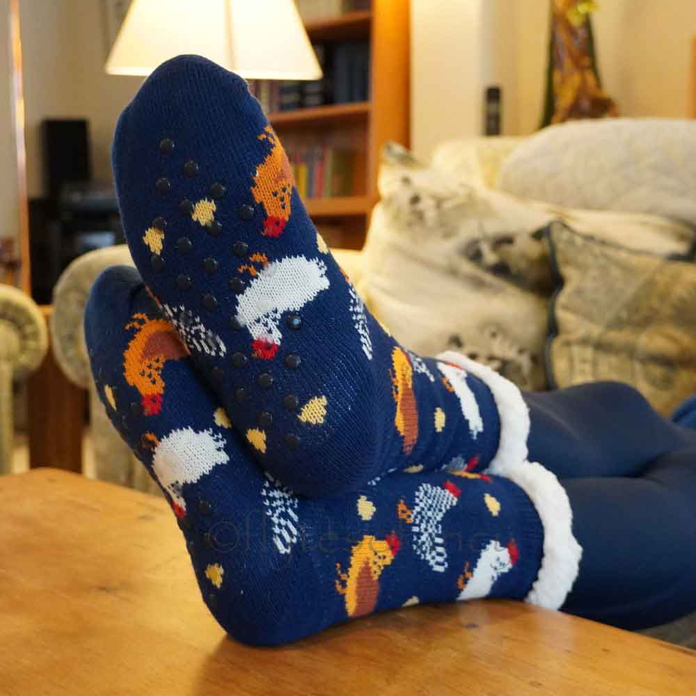 Bartleby Funky Cosy Socks - Chicken