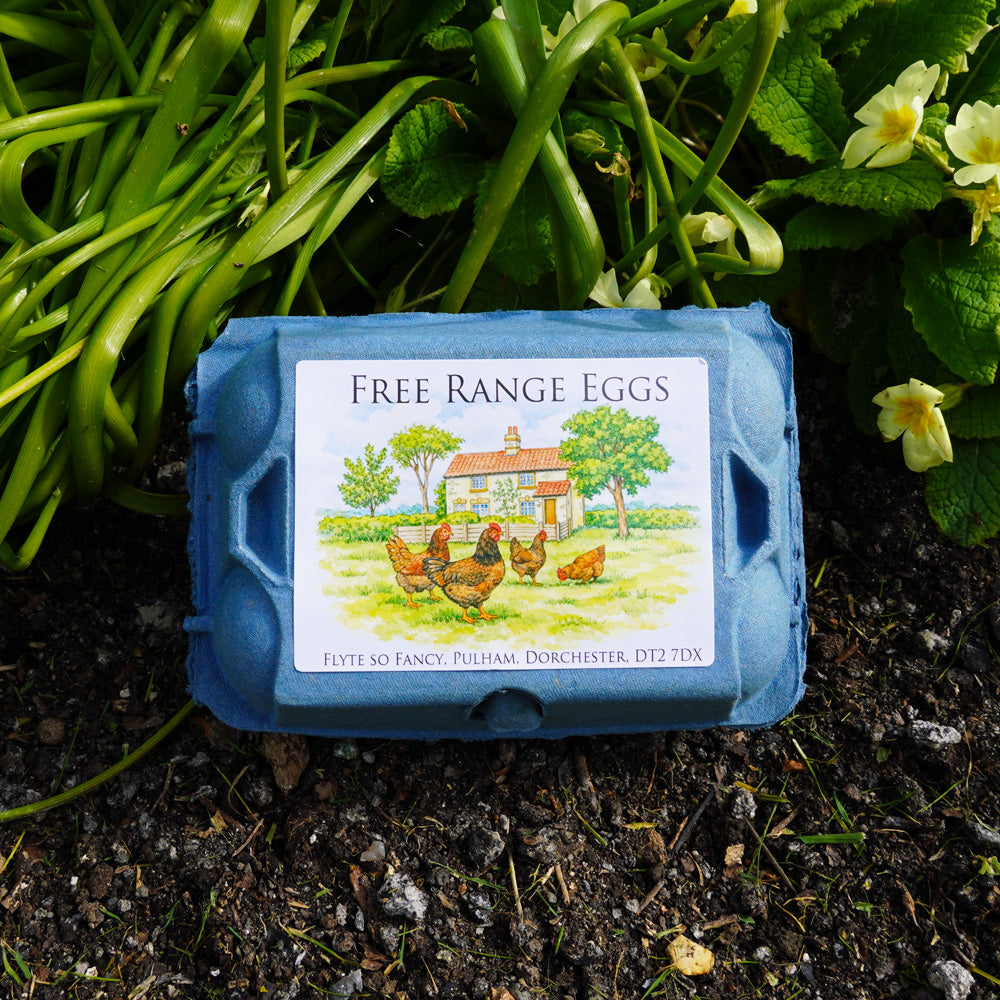 Coloured Egg Box Labels - Cottage & Hens