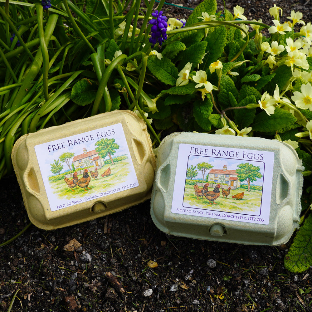 Coloured Egg Box Labels - Cottage & Hens