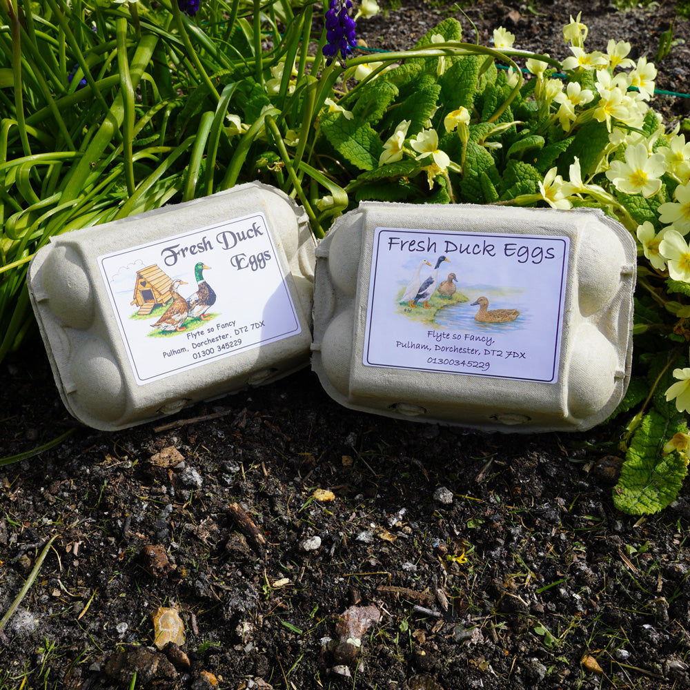 Coloured Egg Box Labels - Fresh Duck Eggs