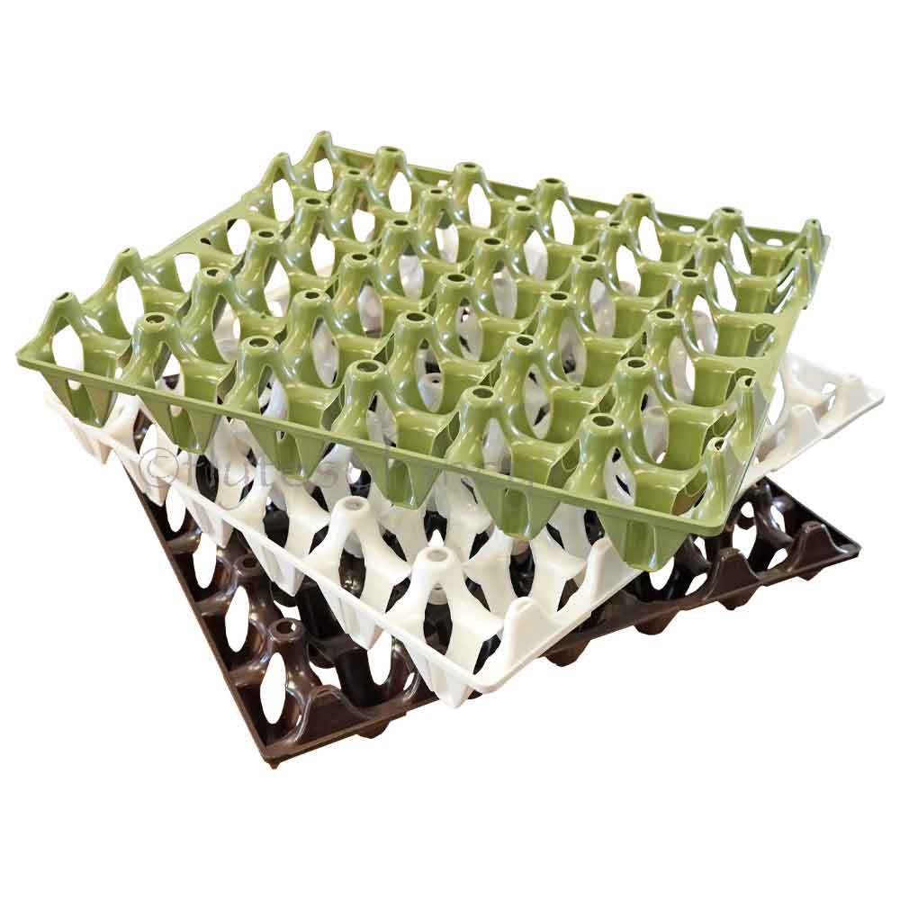 Economy Plastic Egg Trays, Pack of 25