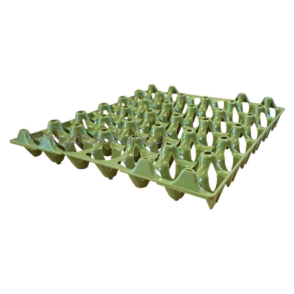 Economy Plastic Egg Trays, Pack of 25