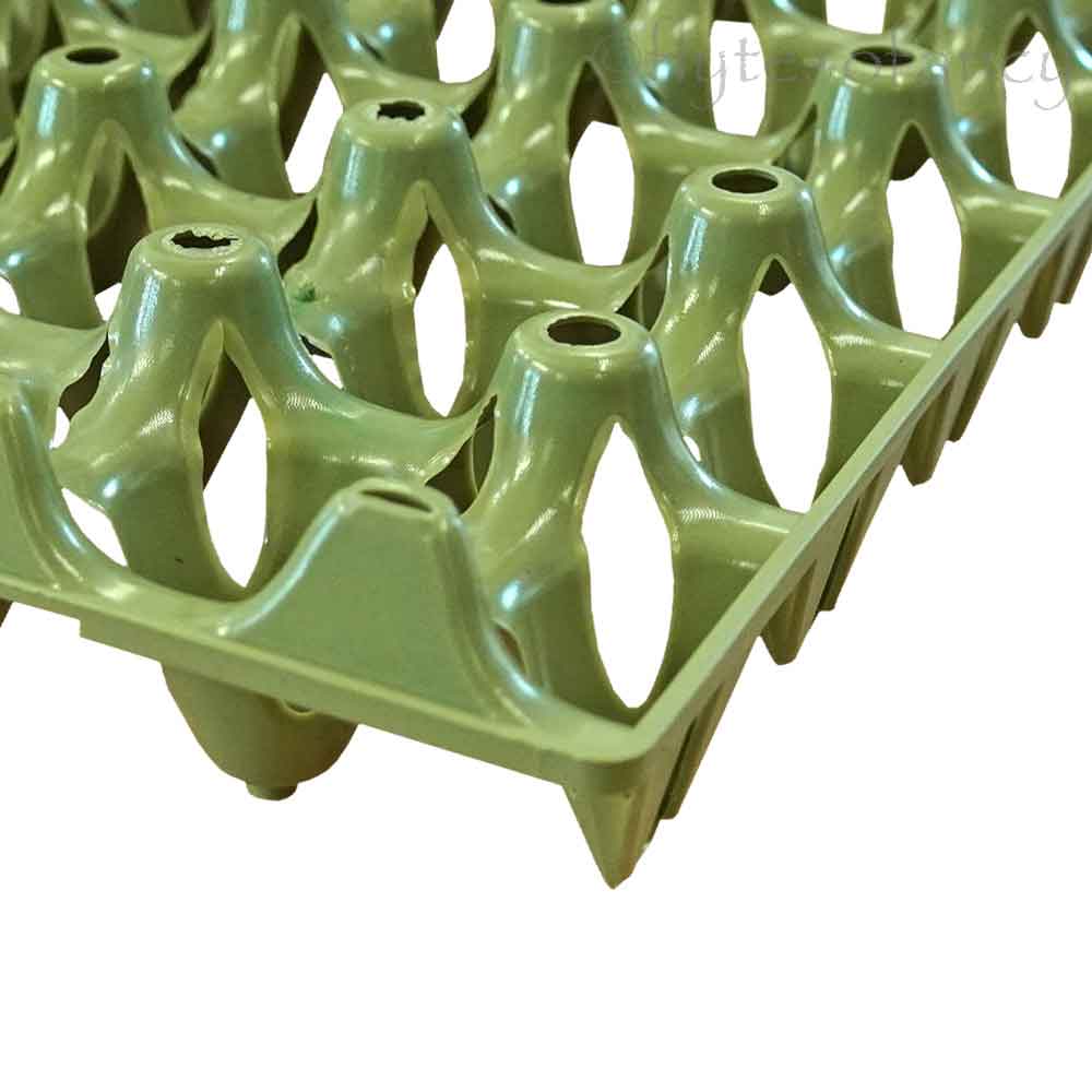 Economy Plastic Egg Trays, Pack of 25