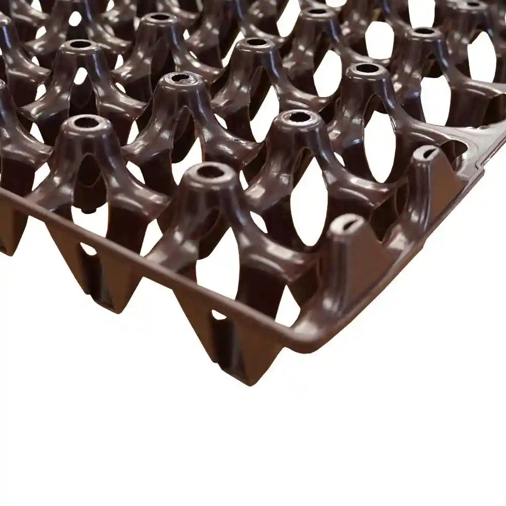 Economy Plastic Egg Trays, Pack of 25