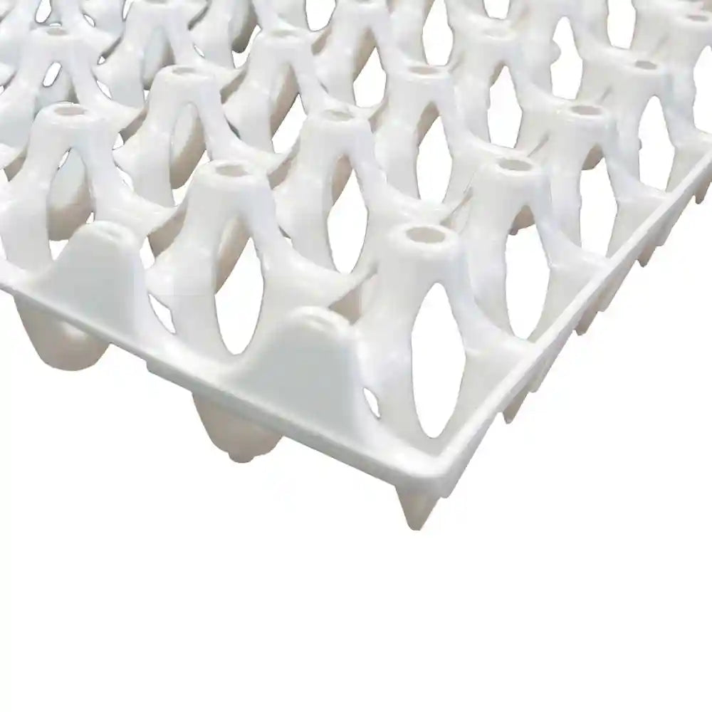 Economy Plastic Egg Trays, Pack of 25