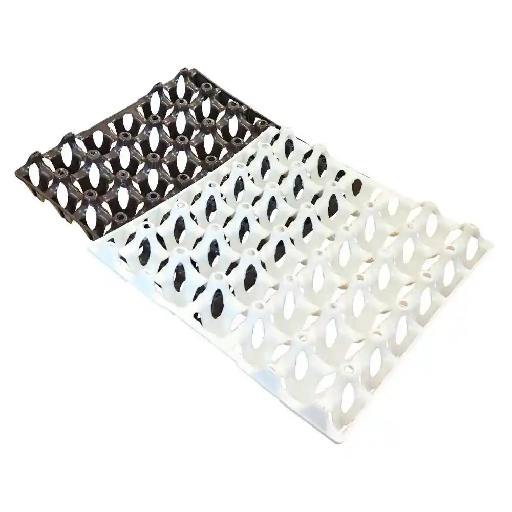 Economy Plastic Egg Trays, Pack of 25