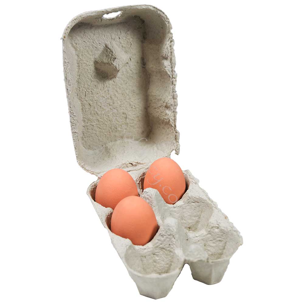 Single Economy Grey Egg Box with eggs