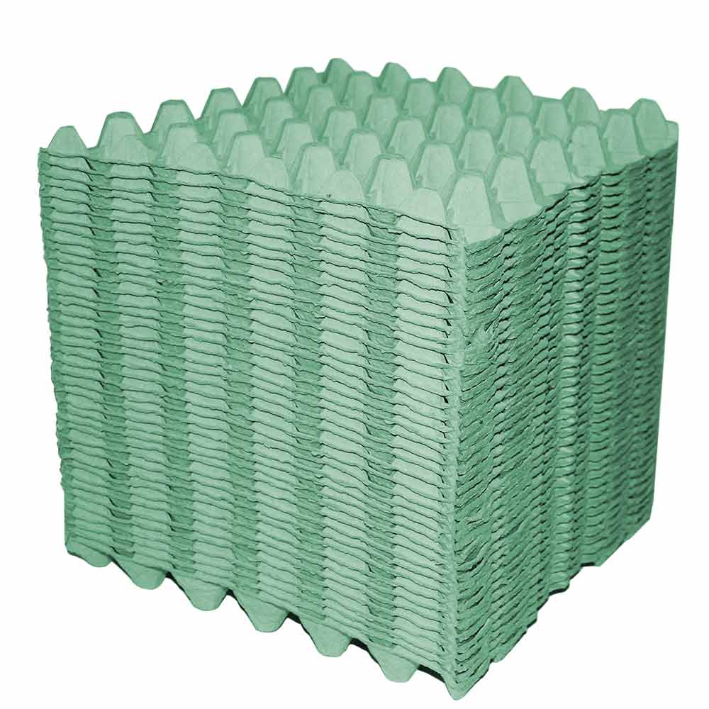 Green Egg Trays, pack of 77