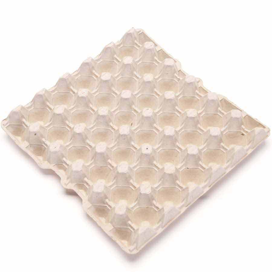Single 30-cell Grey Egg Tray