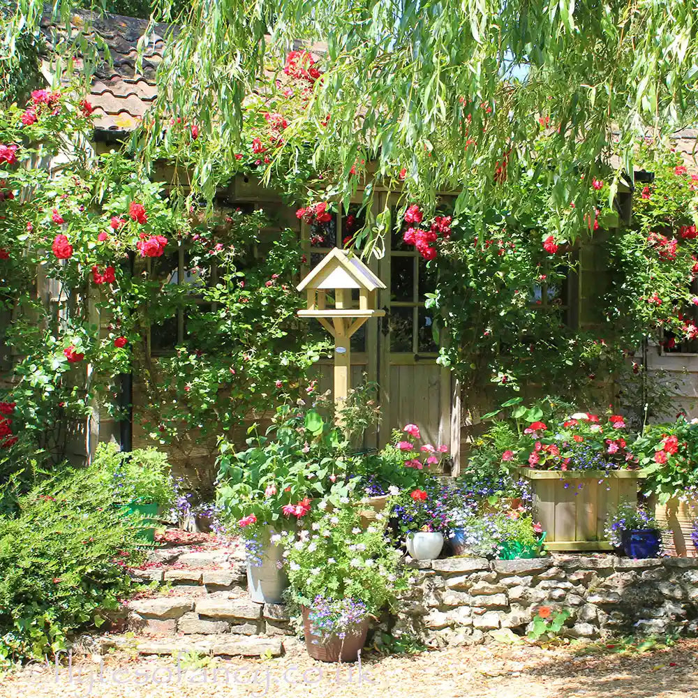 The Epsom Bird Table in a rose garden