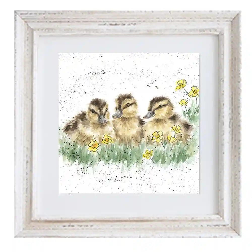 Buttercup Ducklings Framed Print