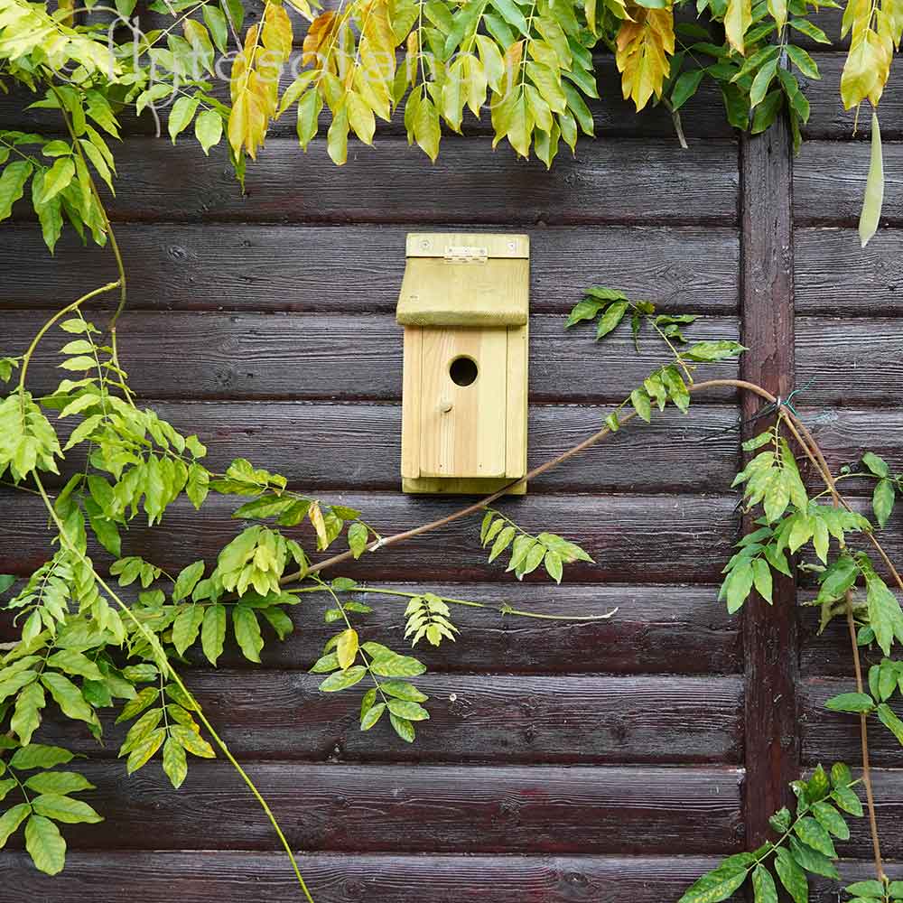 Flyte Garden Bird Nest Box, 32mm