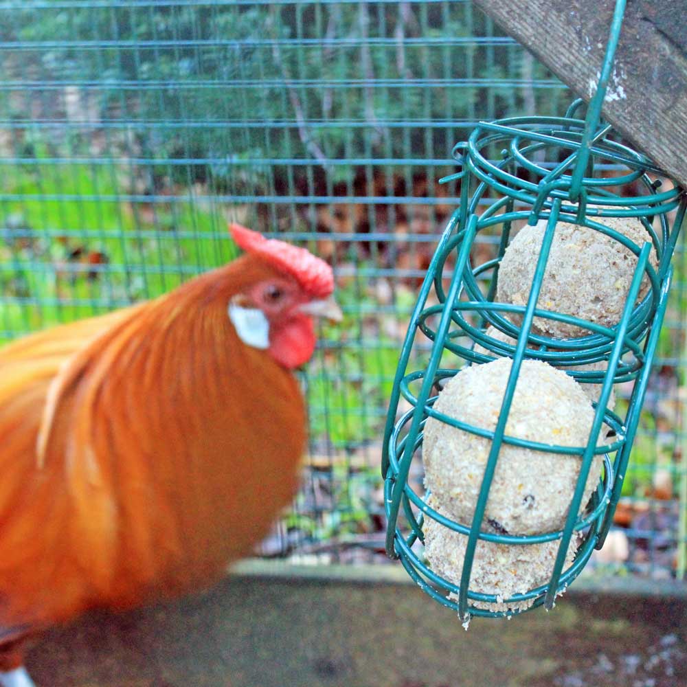 Chicken Pecking Ring Feeder