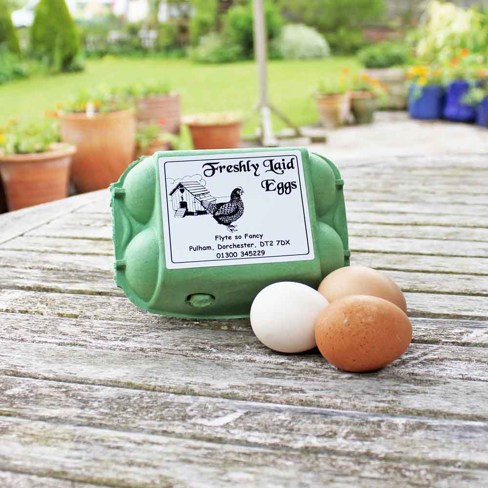 White Freshly Laid Eggs Label with henhouse, on egg box