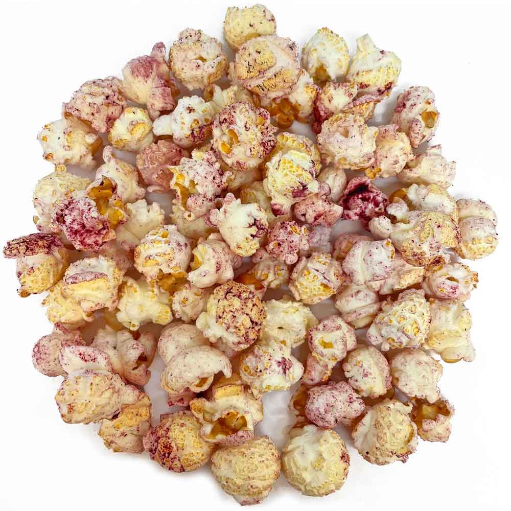 Natures Grub Popcorn Treat for Chickens, 20g