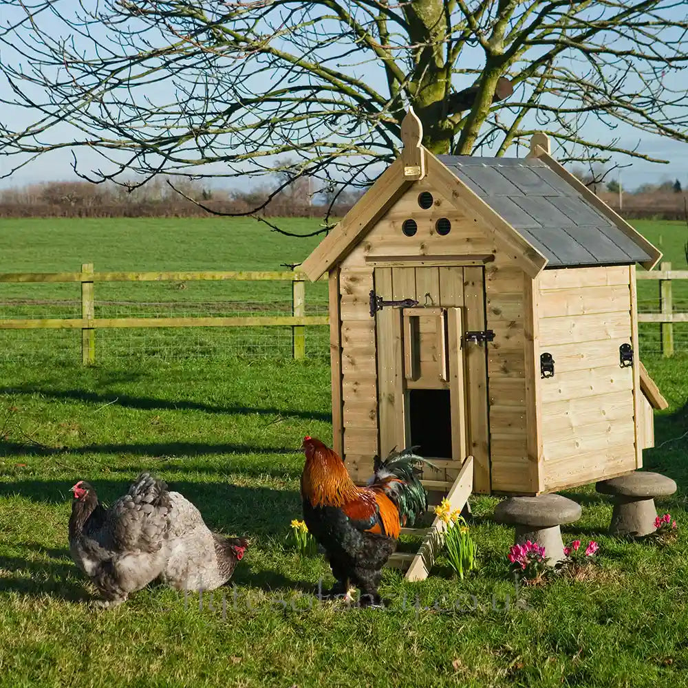 Granary 8 Hen House, with Tiled Roof