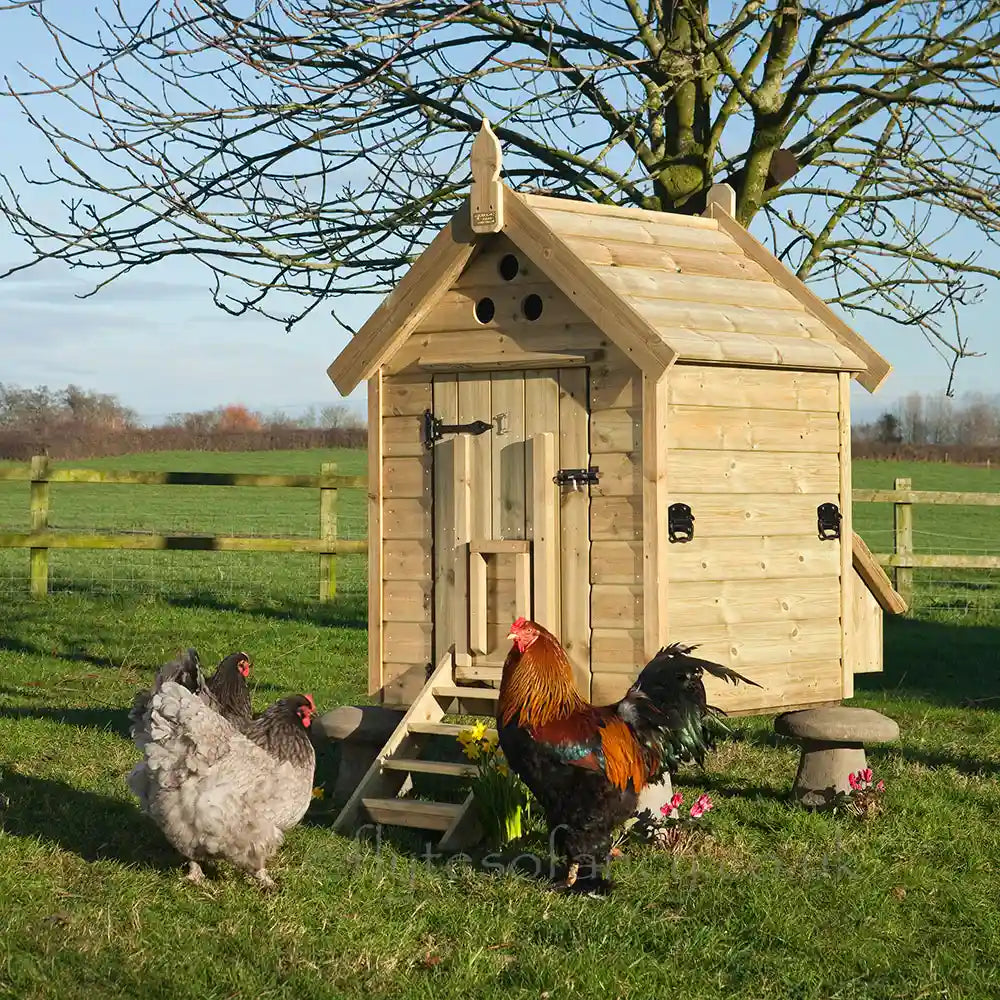 Granary 8 Hen House, with timber Roof