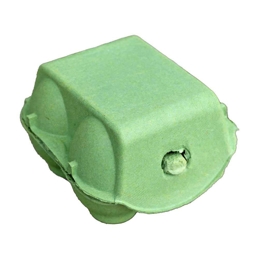 Green 4-Egg Box (single)