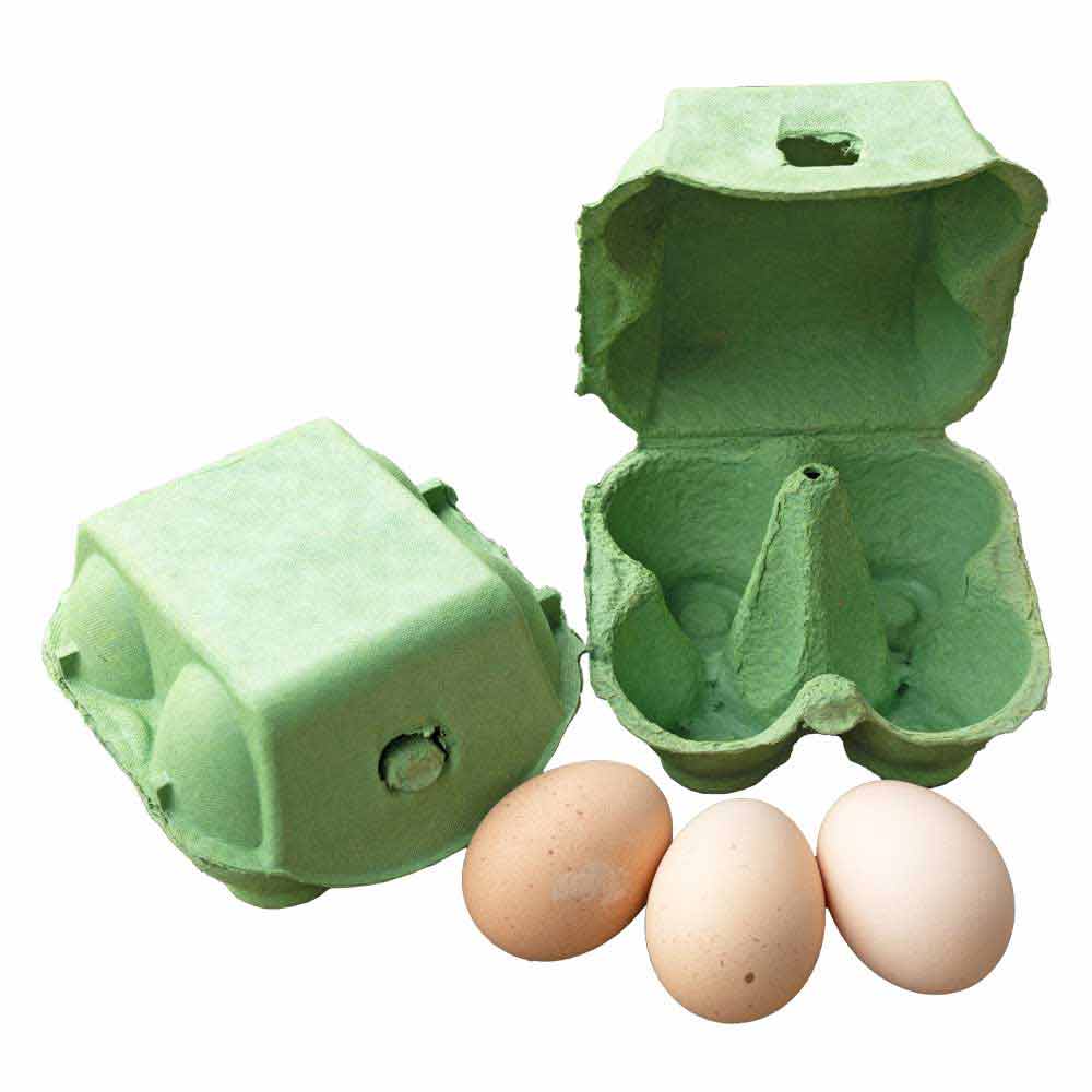 Over view of 4-Egg Green Egg Boxes