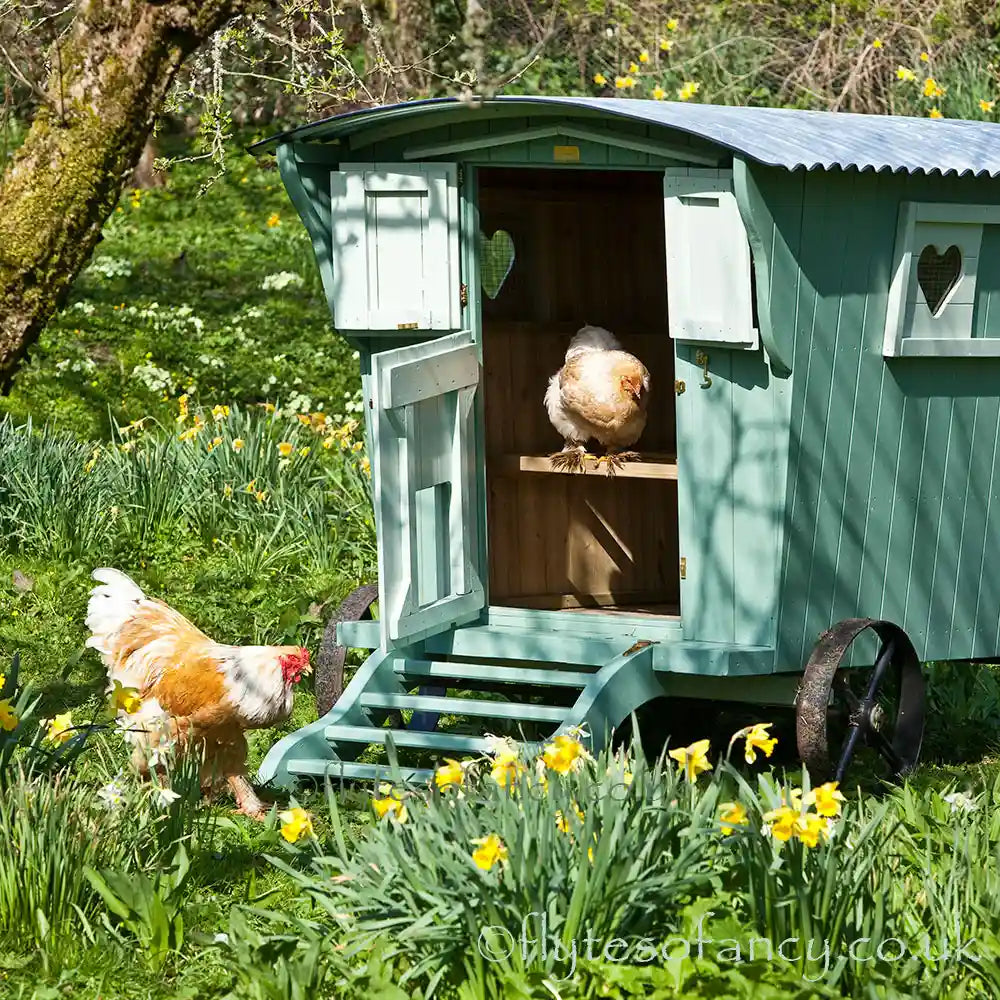 Gypsy Willow Hen House by Flyte so Fancy